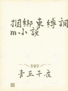 捆绑束缚调教sm小说