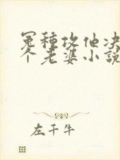 冤种攻他决定换个老婆小说免费阅读