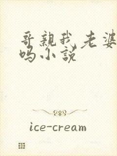 哥亲我老婆很爽吗小说封面