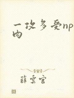 一攻多受np文肉
