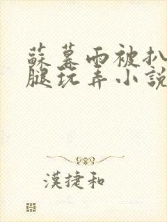 苏暮雨被扒开双腿玩弄小说封面