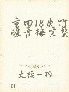 重回18岁竹马酿青梅完整版封面