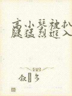 高小琴被扒开双腿猛烈进入小说