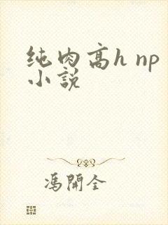 纯肉高h np小说封面