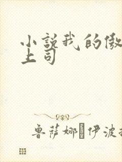 小说我的傲娇女上司