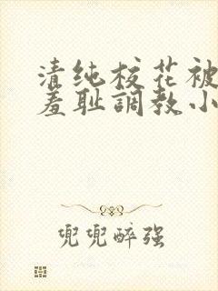 清纯校花被民工羞耻调教小说