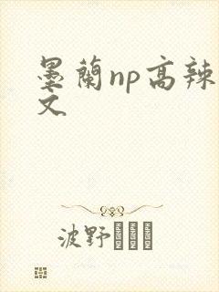 墨兰np高辣h文