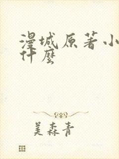 漫城原著小说叫什么封面