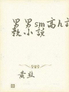 男男sm高h调教小说