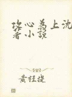 攻心为上沈卿原著小说