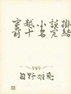 穿越小说排行榜前十名完结篇赘婿