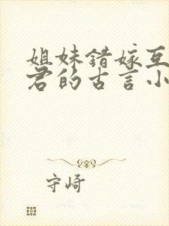 姐妹错嫁互换夫君的古言小说封面