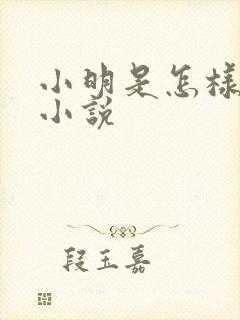 小明是怎样死的小说