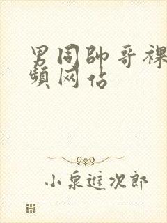 男同帅哥裸体视频网站