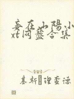 妾在山阳小说txt网盘合集