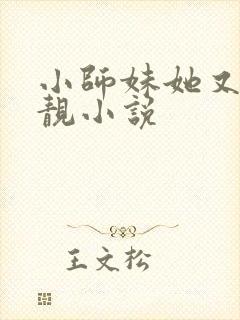 小师妹她又凶又靓小说封面