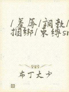 /羞辱/调教/捆绑/束缚sm在线封面