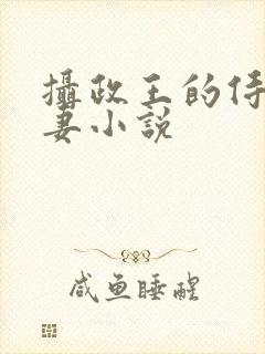 摄政王的侍爱逃妻小说