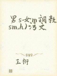 男s女m调教(sm,h)污文