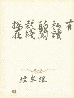 总裁的私有宝贝在线阅读