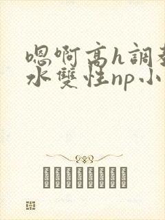 嗯啊高h调教喷水双性np小说