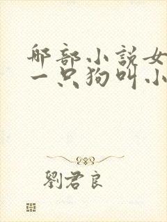 哪部小说女主有一只狗叫小封面