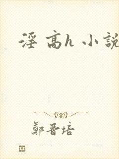 淫 高h 小说