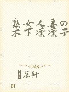 熟女人妻のav木下凛凛子封面