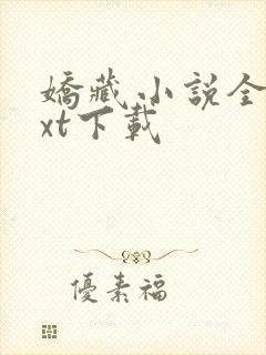 娇藏小说全文txt下载封面