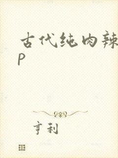 古代纯肉辣文np