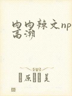 肉肉辣文np文高潮