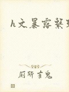 h文暴露系列封面