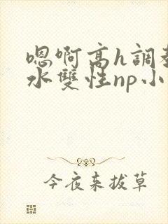 嗯啊高h调教喷水双性np小说