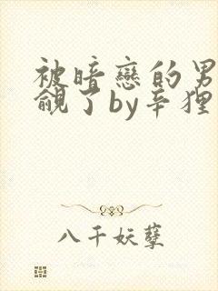 被暗恋的男神觊觎了by辛狸小说