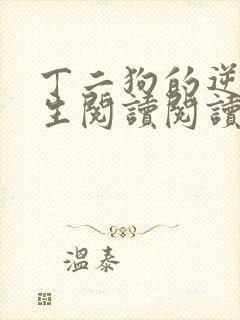 丁二狗的逆袭人生阅读阅读全文封面