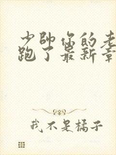 少帅你的老婆又跑了最新章节免费阅读