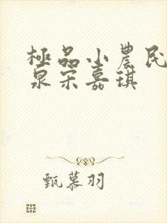 极品小农民叶庆泉宋嘉琪