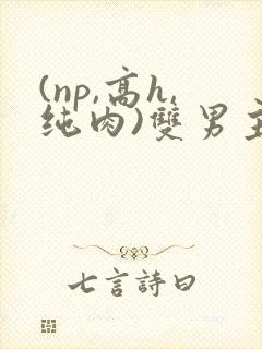 (np,高h,纯肉)双男主