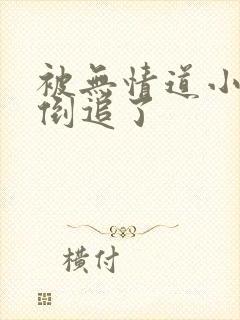 被无情道小师弟倒追了封面