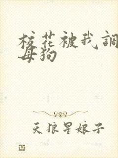 校花被我调教成母狗