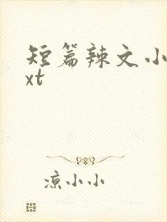 短篇辣文小说txt