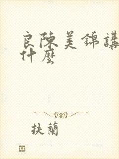 良陈美锦讲的是什么封面