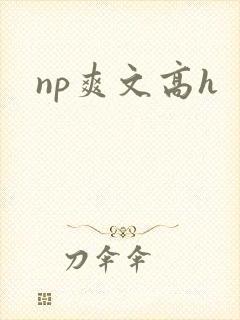 np爽文高h