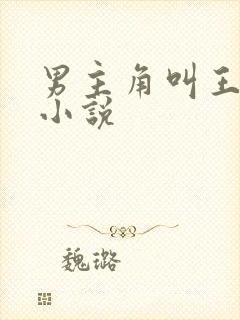 男主角叫王宇的小说