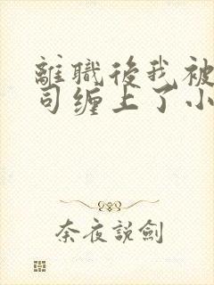 离职后我被前上司缠上了小说完整封面