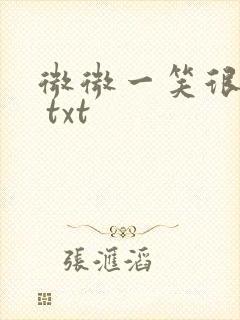 微微一笑很倾城 txt