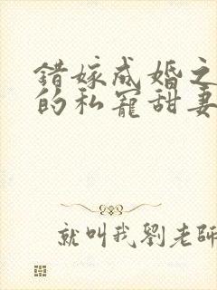 错嫁成婚之总裁的私宠甜妻