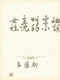 女主叫云岫男主姓沈的小说