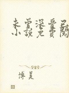 未曾深爱已无情小说免费阅读封面