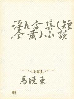 淫h合集(短篇,全黄)小说封面
